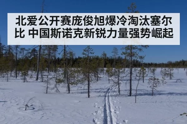 北爱公开赛庞俊旭爆冷淘汰塞尔比 中国斯诺克新锐力量强势崛起